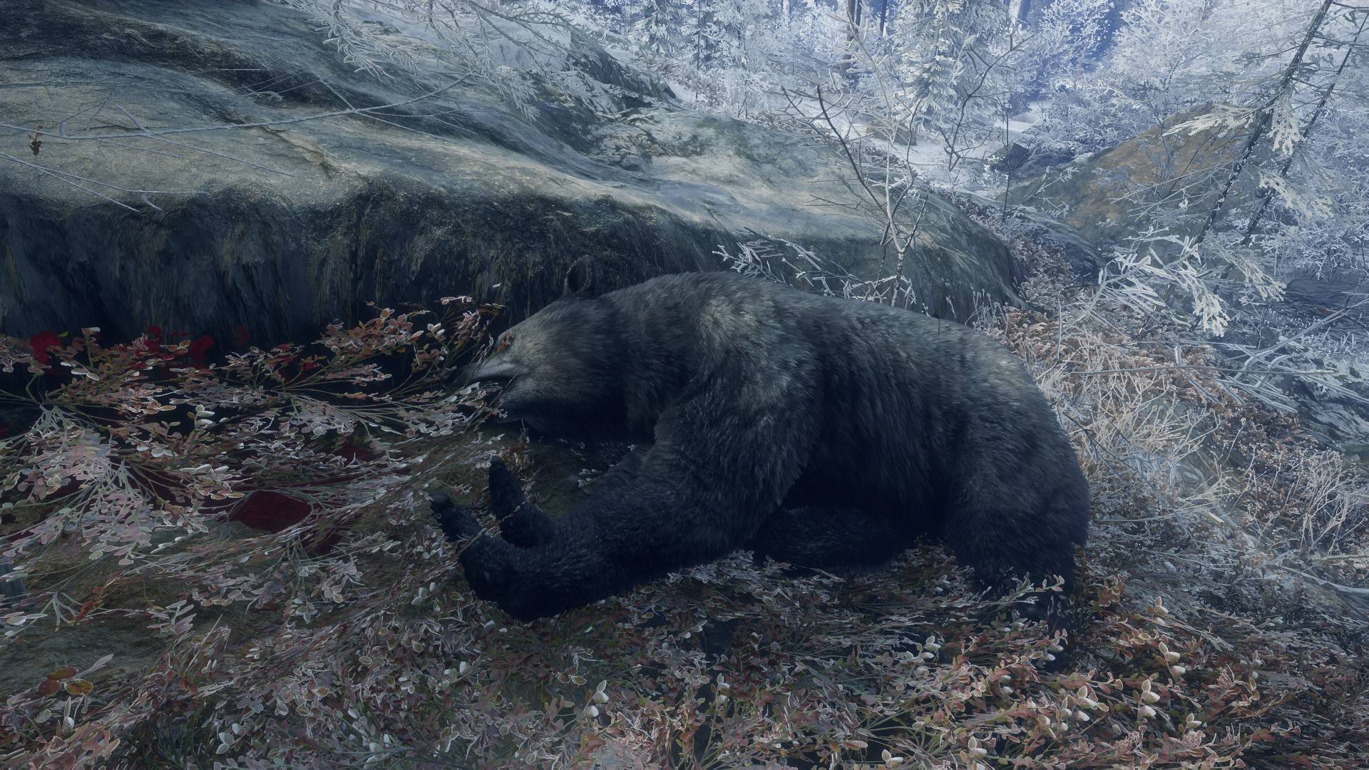 theHunter: Call of the Wild — аркада года!!!тот случай когда старое лучше чем новое! 2014 vs 2017