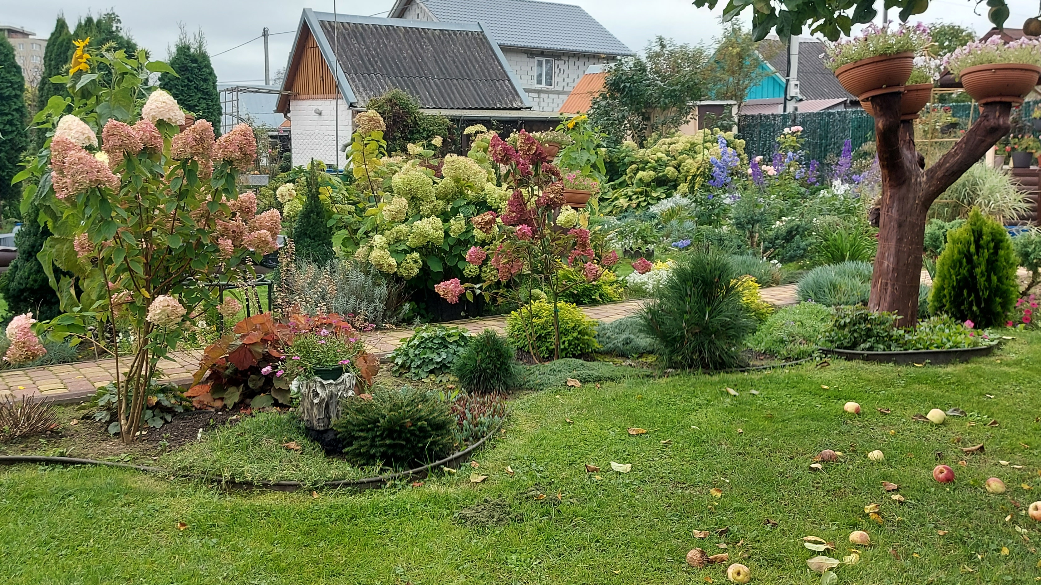 Пролетел сентябрь,следующий октябрь.Осенняя дача.🍂🍁🍂🍁🌧