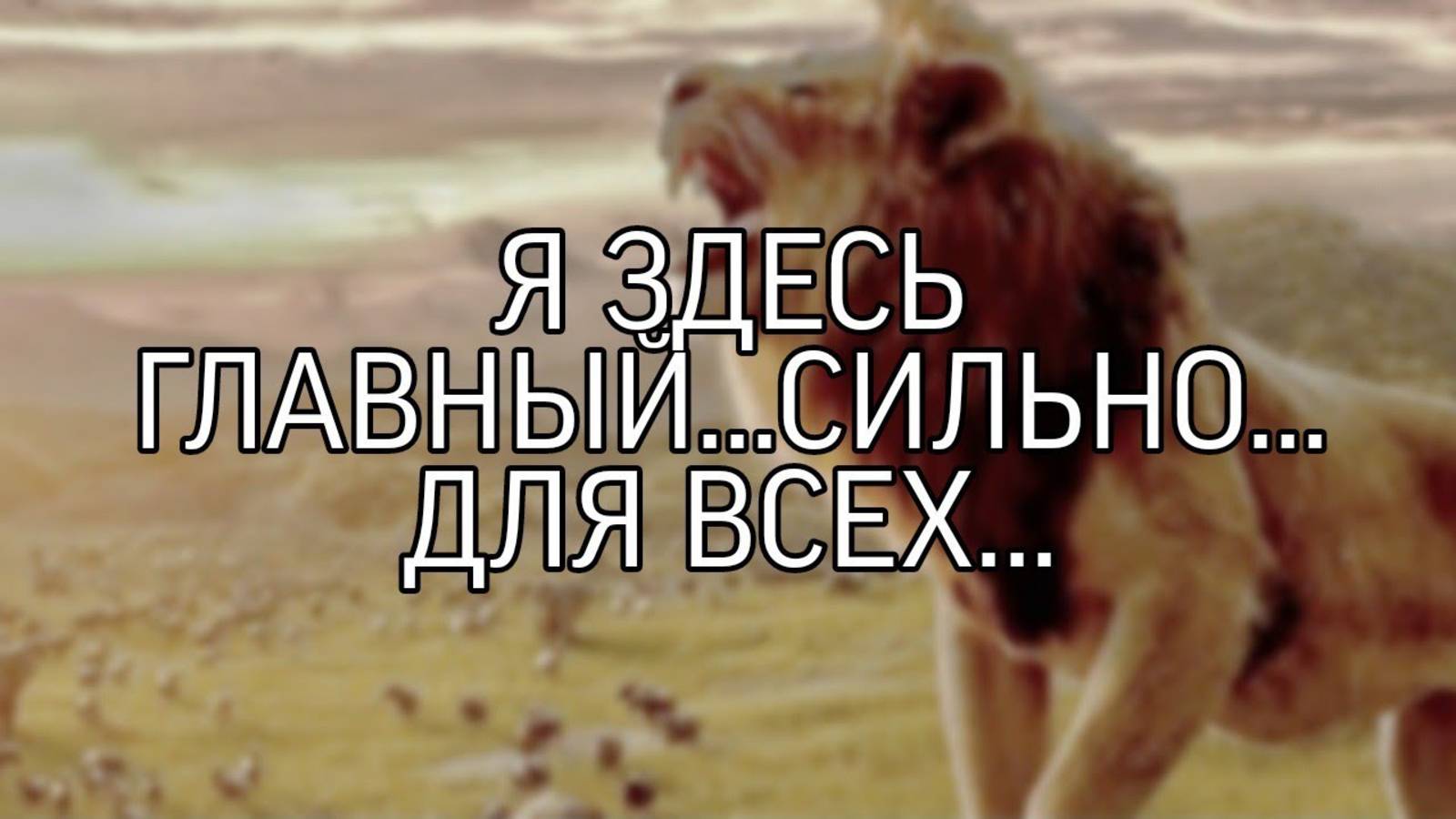 Я ЗДЕСЬ ГЛАВНЫЙ...ОЧЕНЬ СИЛЬНО...ДЛЯ ВСЕХ...