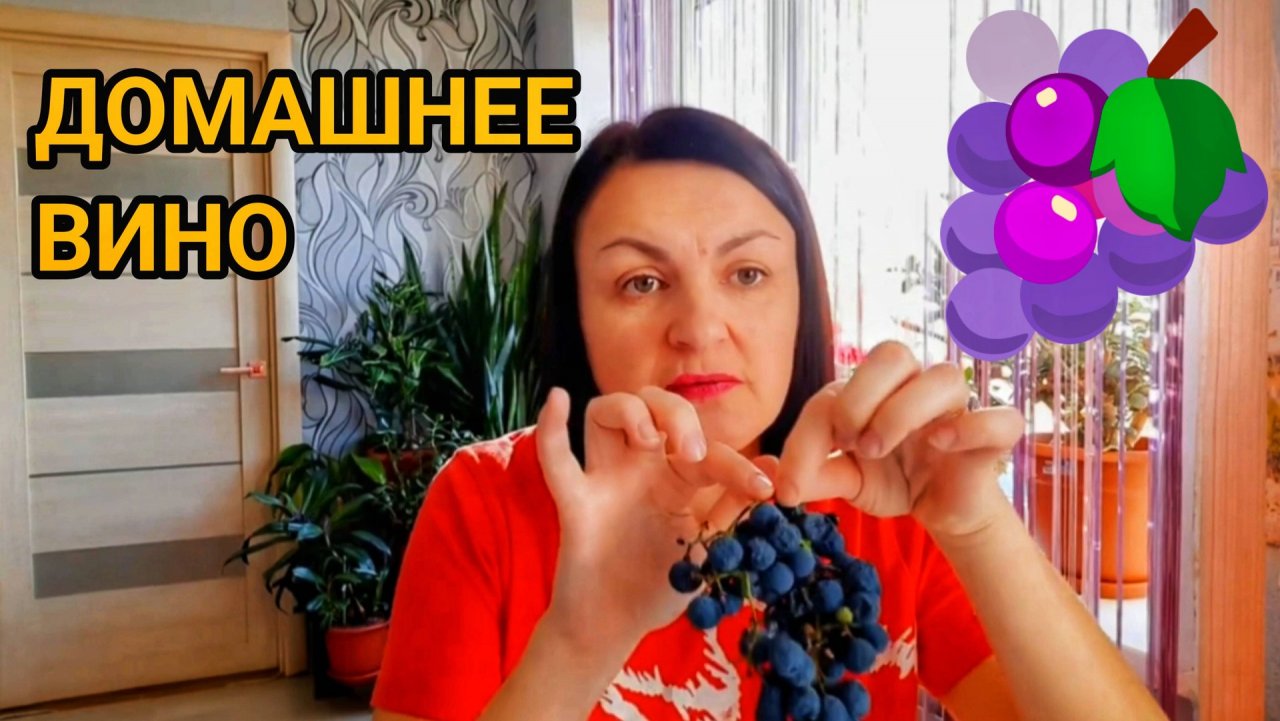 КАК САМОМУ ПРИГОТОВИТЬ ВИНО 🍷 ИЗ ВИНОГРАДА 🍇 ПОШАГОВАЯ ИНСТРУКЦИЯ ☝️