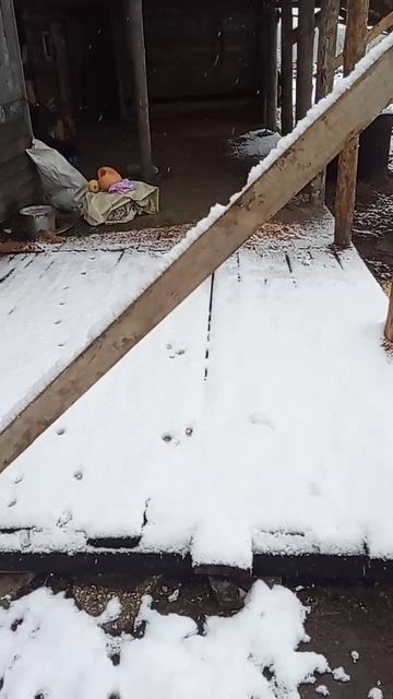 Первый снег 30.09.25