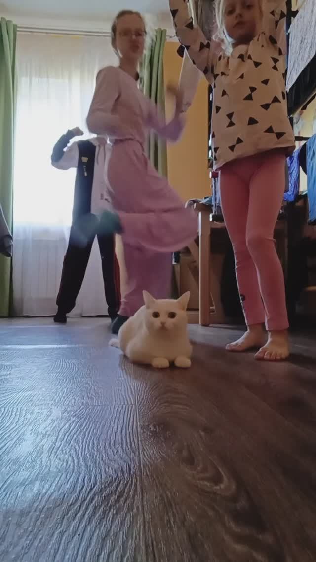 Зарядка с братом и сестрой... 🥰И Бусей 🙃МАШКА ПРИТАЩИЛА 😆