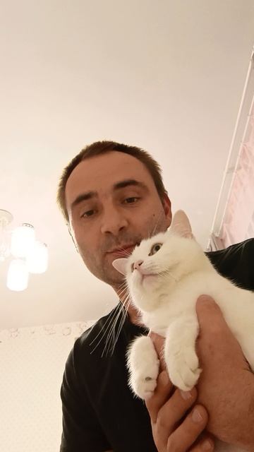 Знакомая ситуация?) #кот #мяу #дверь #юмор #настроение