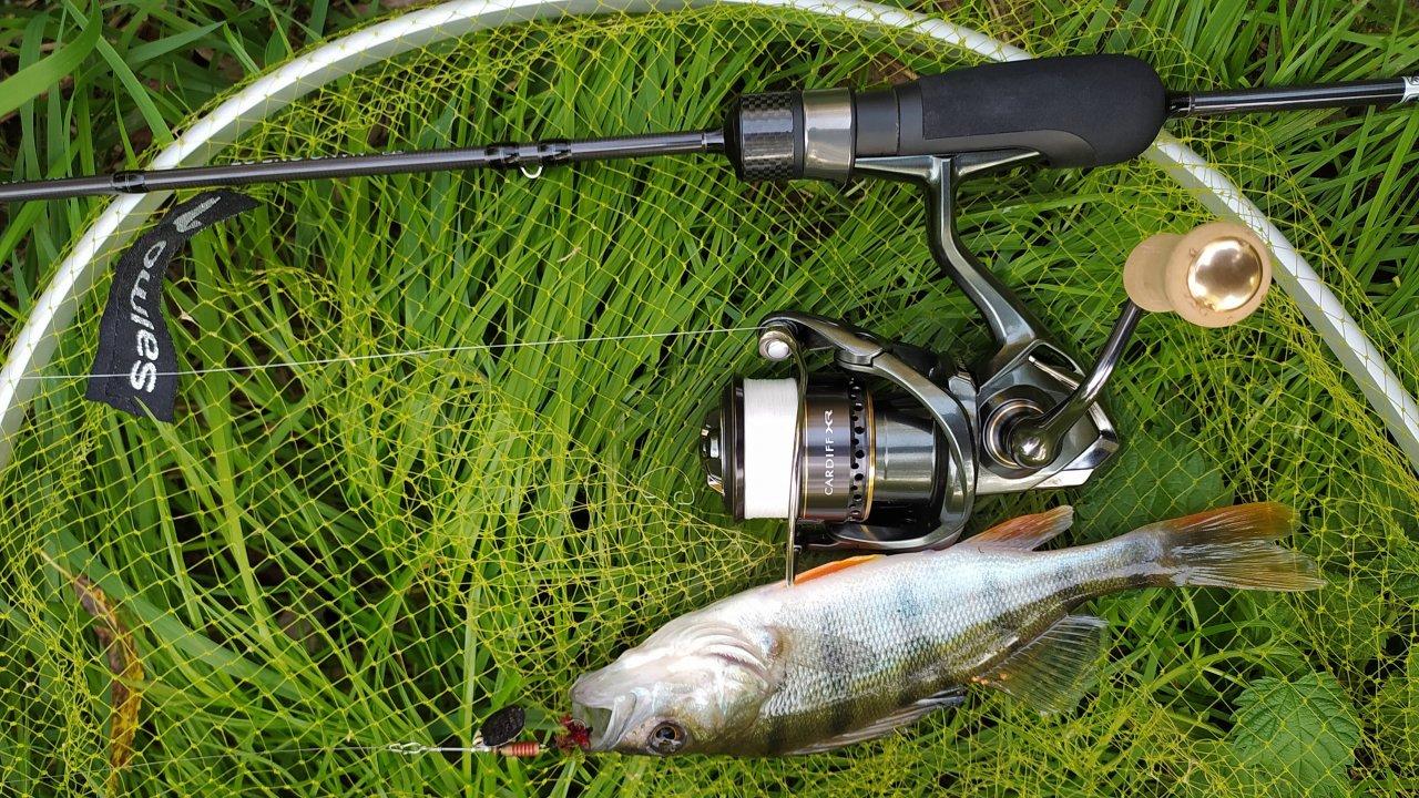 Пробная рыбалка с Shimano 23 Cardiff XR C2000S