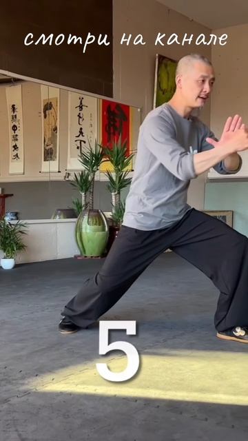 搬拦捶-Бань Лань Чуй энергия Инь Ян