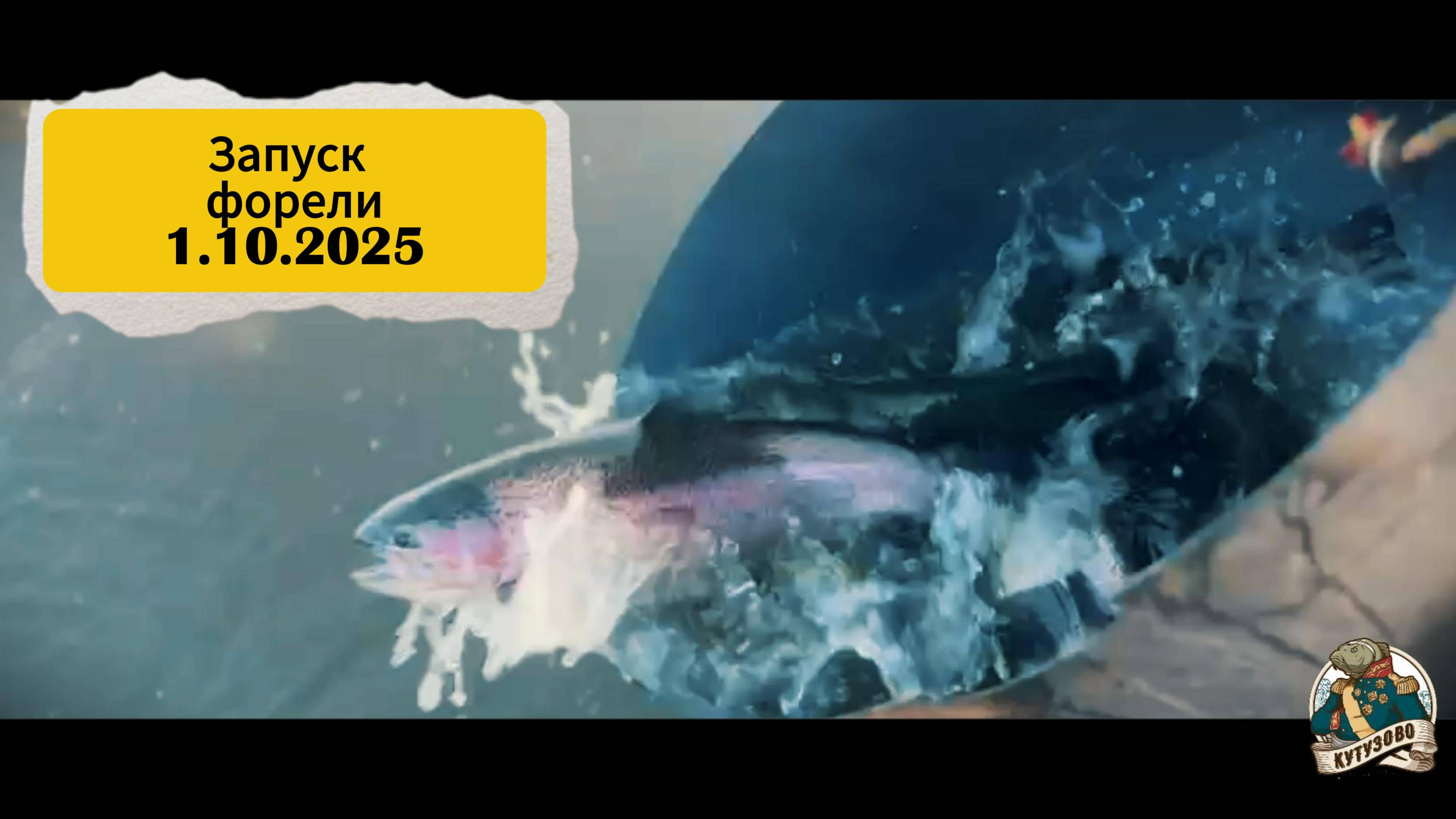 ЗАПУСК ФОРЕЛИ 1.10.2025