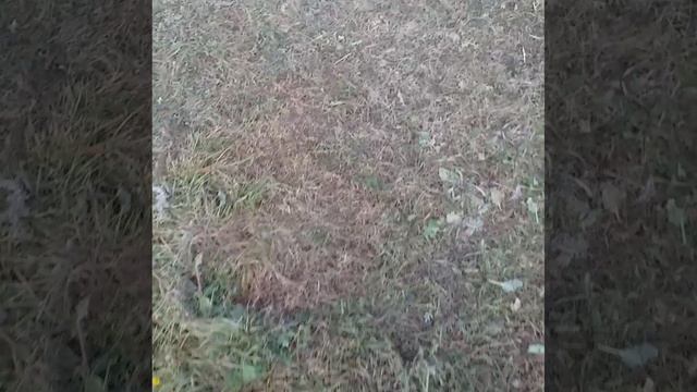 мысли материальны Если думаешь особым образом