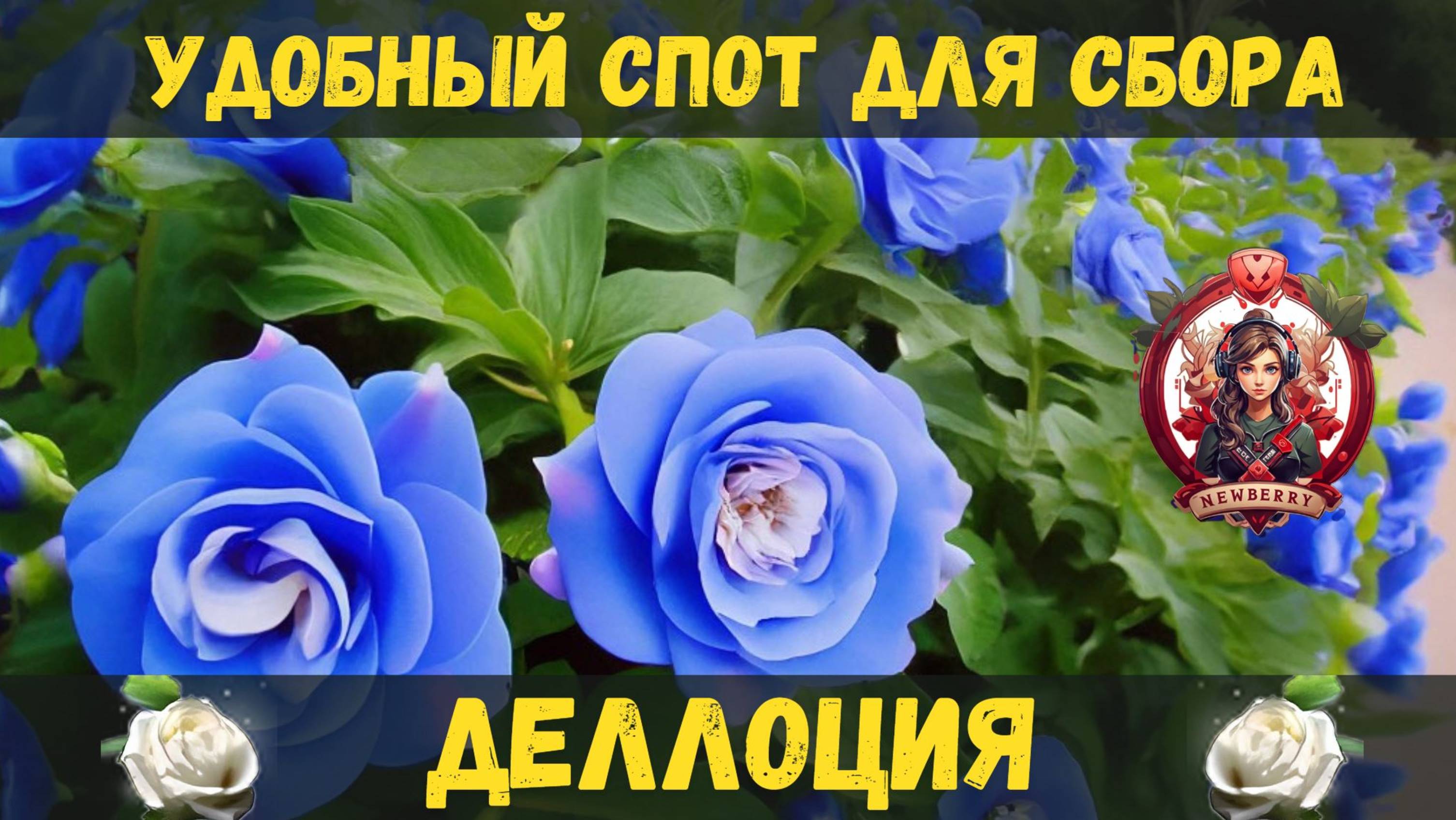 [BDO]🌱ДЕЛЛОЦИЯ / СПОТ ДЛЯ СБОРА В ОДИРАКСИИ / БОЛЬШОЙ КРУГ #delotia