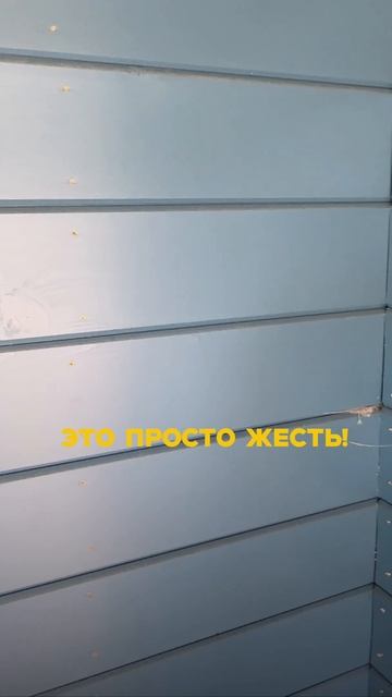 Убийцы дерева: вам такое ставили? Просто жесть!