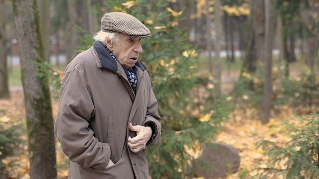 Видеопоэзия. Евгений Рейн «Снова листья подходят к балкону»