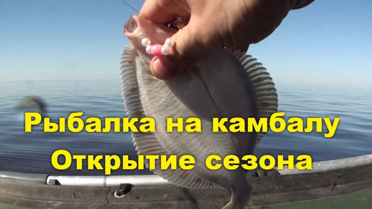 Вышли в  открытое море без мотора на резиновой лодке половить рыбу