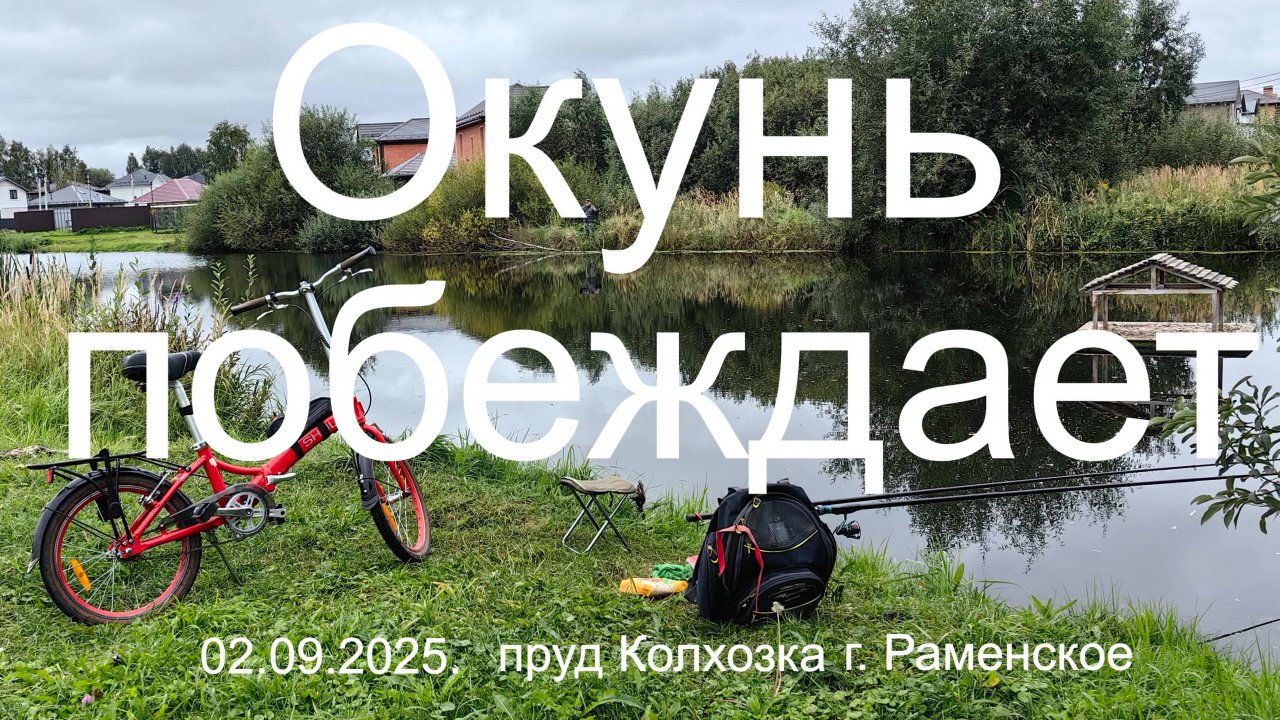 Окунь побеждает. 02.09.2025. Пруд Колхозка. г. Раменское. Рыбалка в Подмосковье.