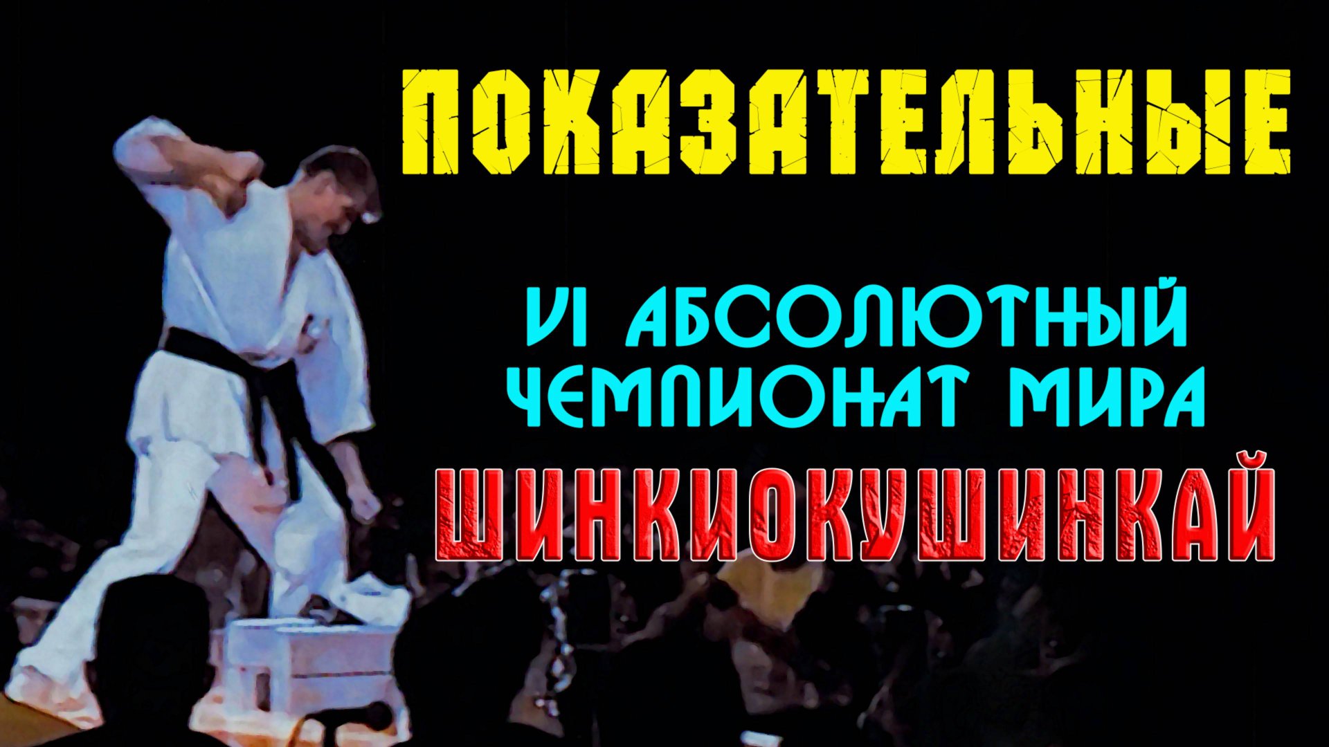 Киокусинкай.Показательные на VI Абсолютном Чемпионате мира по Шинкиокушинкай