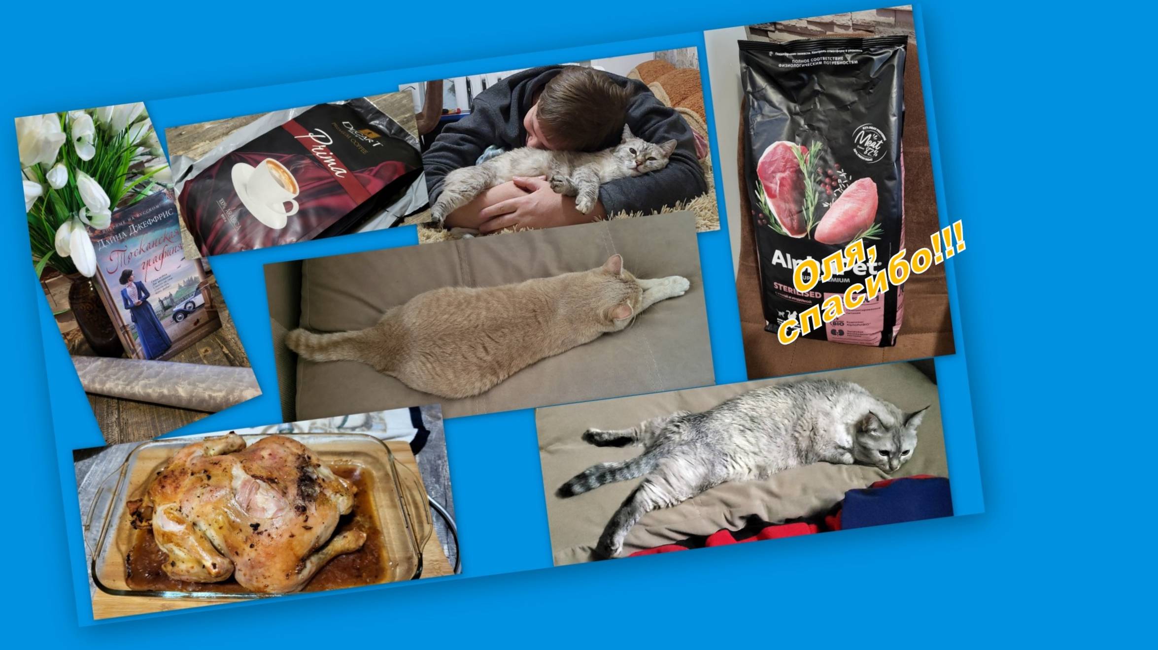 ВЛОГ: МНОГО ИНТЕРЕСНЫХ ПОКУПОК, НАШ БЫТ И ПУШИСТЫЙ ДОСУГ!