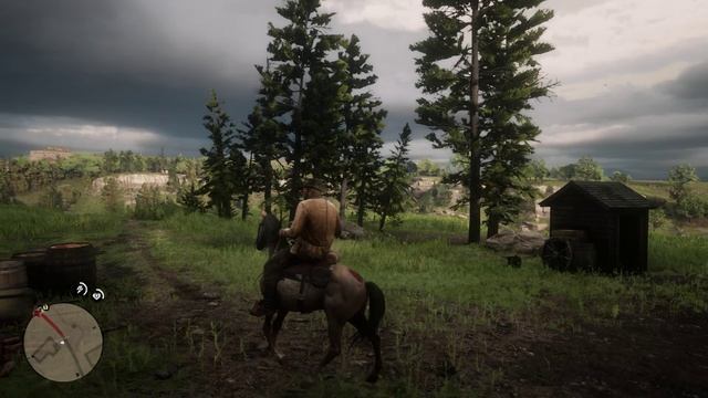 Red Dead Redemption 2 . Артур подрабатывает коллектором
