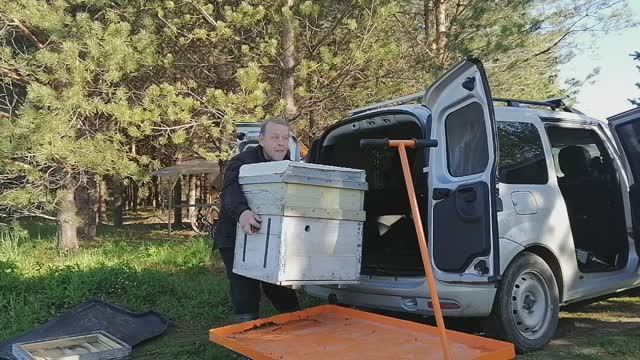 Привёз ульи Дадан с пчёлами очень тяжёлая работа их выгрузить по сравнению с ульями-лежаками