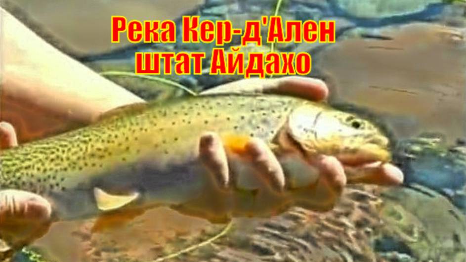 Река Кер-д'Ален штат Айдахо