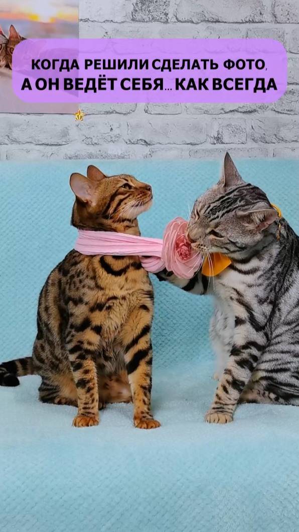 Когда пришли с НИМ на фотосессию