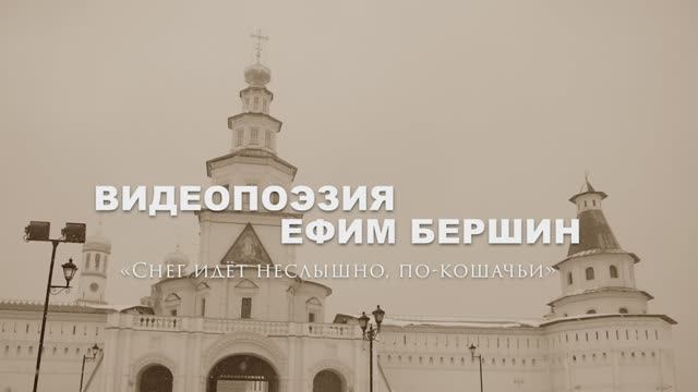 Видеопоэзия. Ефим Бершин «Снег идёт неслышно, по-кошачьи»