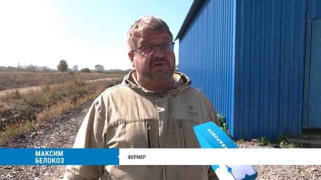 Хабаровский край обеспечен картофелем на 77%