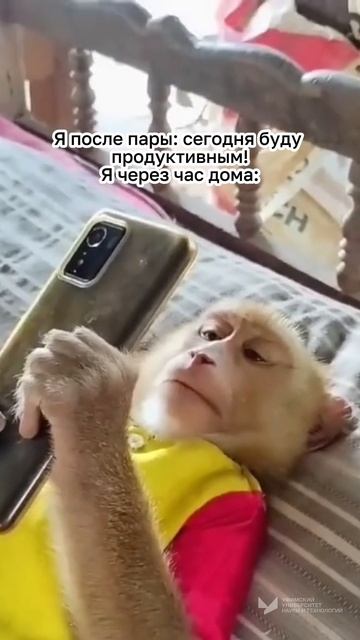 Я после пар дома