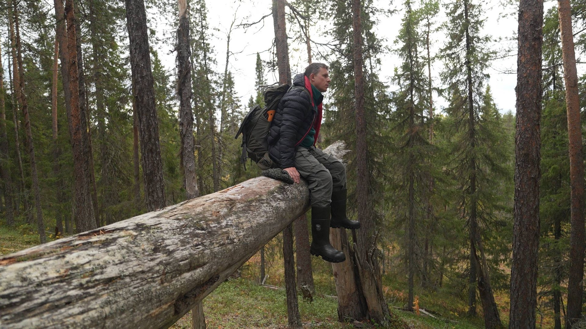 Стройка. Пеший поход на таёжную речку.