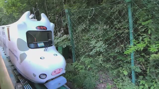 Зверопоезда в нацпарке