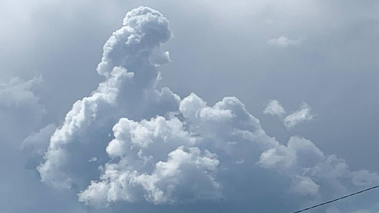 Зайчик передал - Вахромеево (Оригинал)