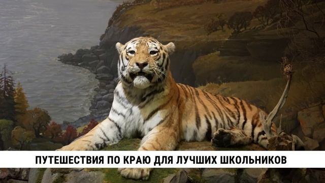 Путешествия по краю для лучших школьников