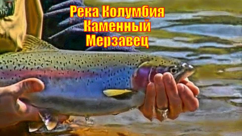 Река Колумбия Каменный Мерзавец