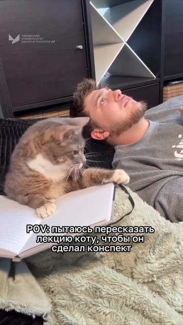 Когда конспект нужен срочно, а рядом только кот 👀