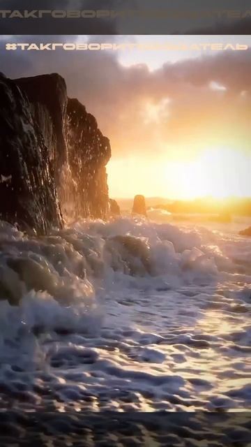 #КС / Экзамен Века