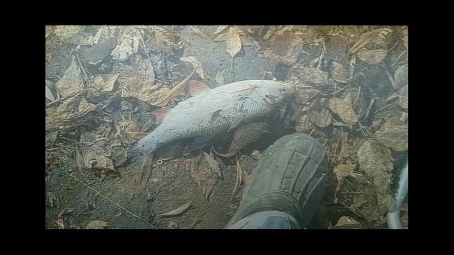 Слайд шоу, на рыбалке.