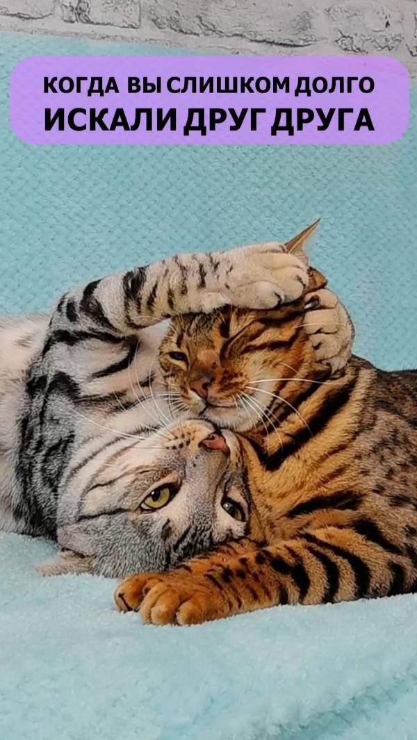 Когда так долго искали друг друга...