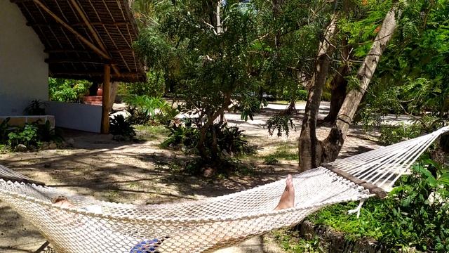 Акуна Матата в гамаке!Поле-поле что значит потом))