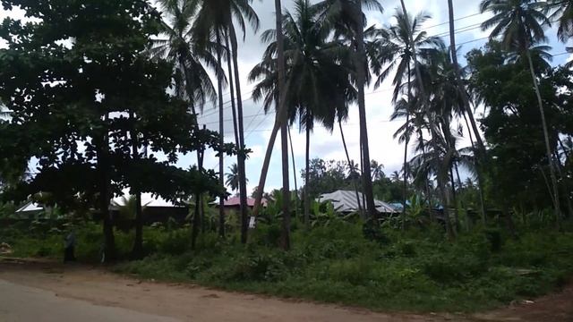 Дорога в аэропорт из Джамбиани!