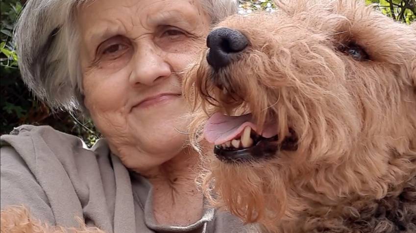 День улыбки в деревне-Х-2025