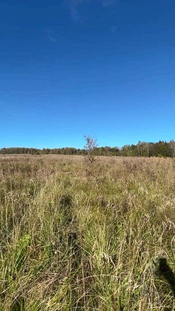 37 участков КФХ (37 ГА) урочище Ряскино, заезд через д. Шиклово Александровский р-н. Свет. Река.