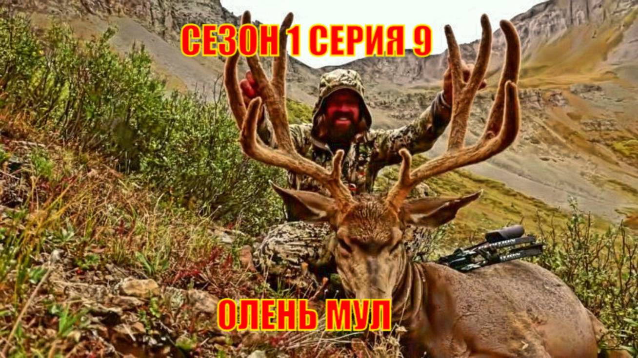 ОХОТА НА ОЛЕНЯ МУЛА СЕЗОН 1 СЕРИЯ 9
