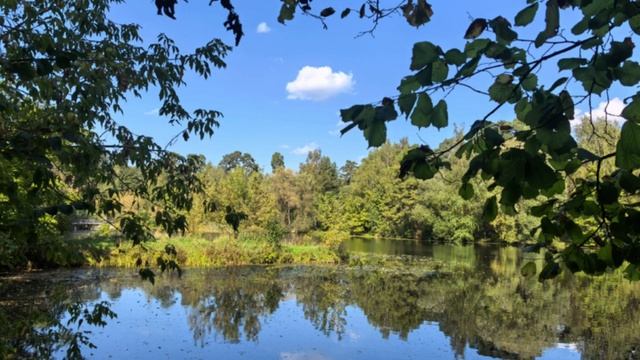 Сказка от лица ведьмы