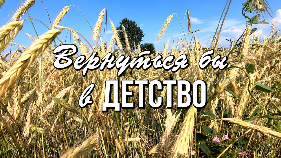 Вернуться бы в детство… на пару мгновений…