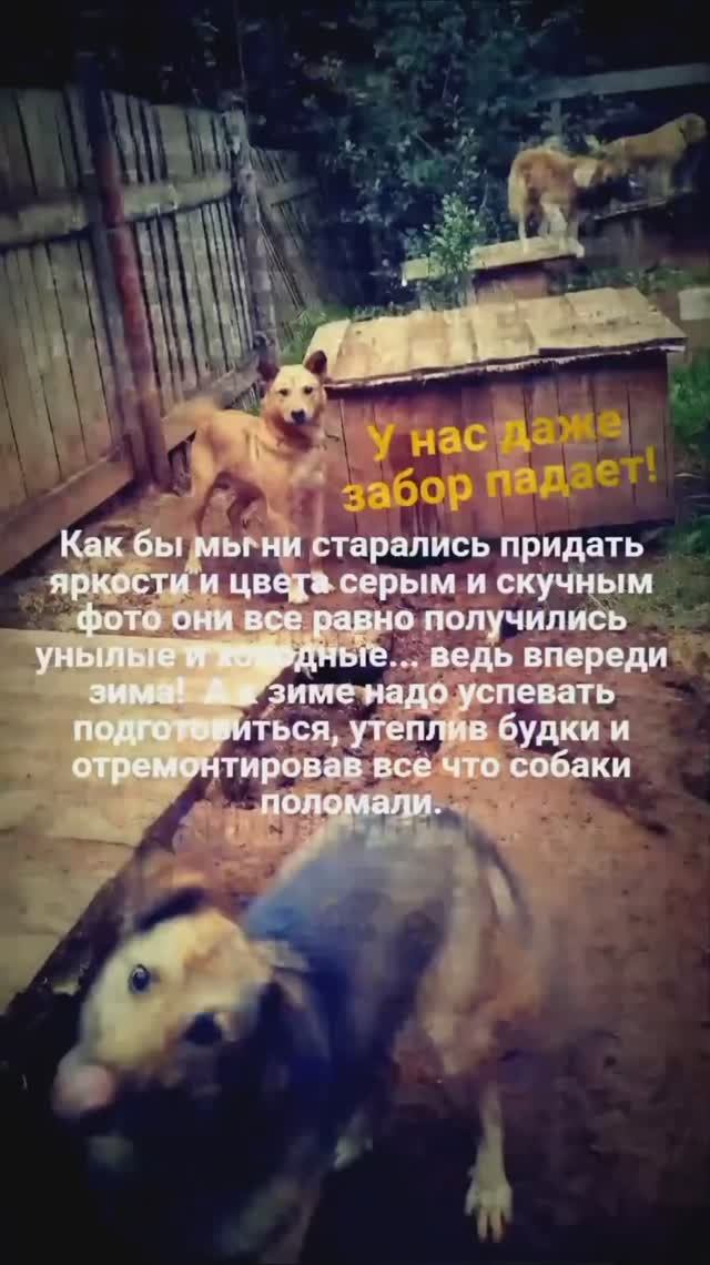 Как не экономить?
