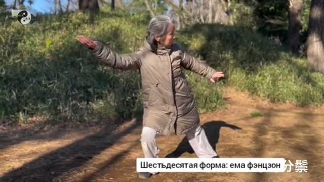 067 лабиринты кунфу