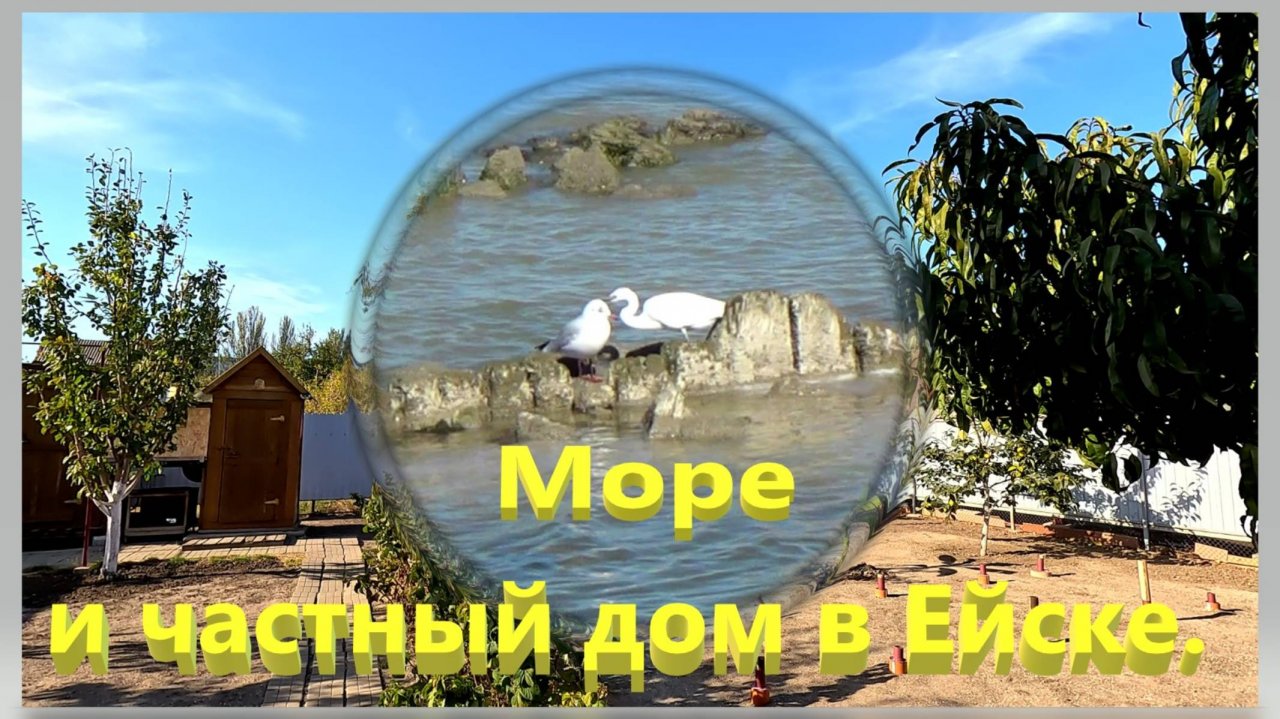 Море и частный дом в Ейске.