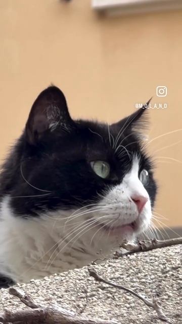 Привет, это снова я !