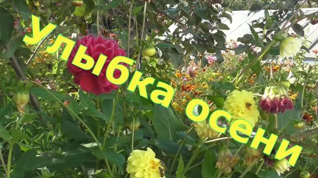 Улыбка осени...Музыка Вадима Гурьева