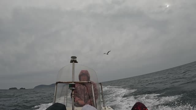 Дикие люди. Владивосток 2025. Трейлер