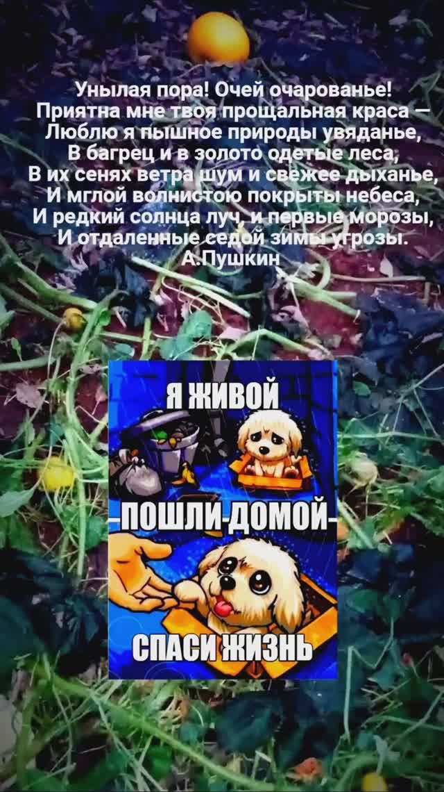 Как перестать экономить?