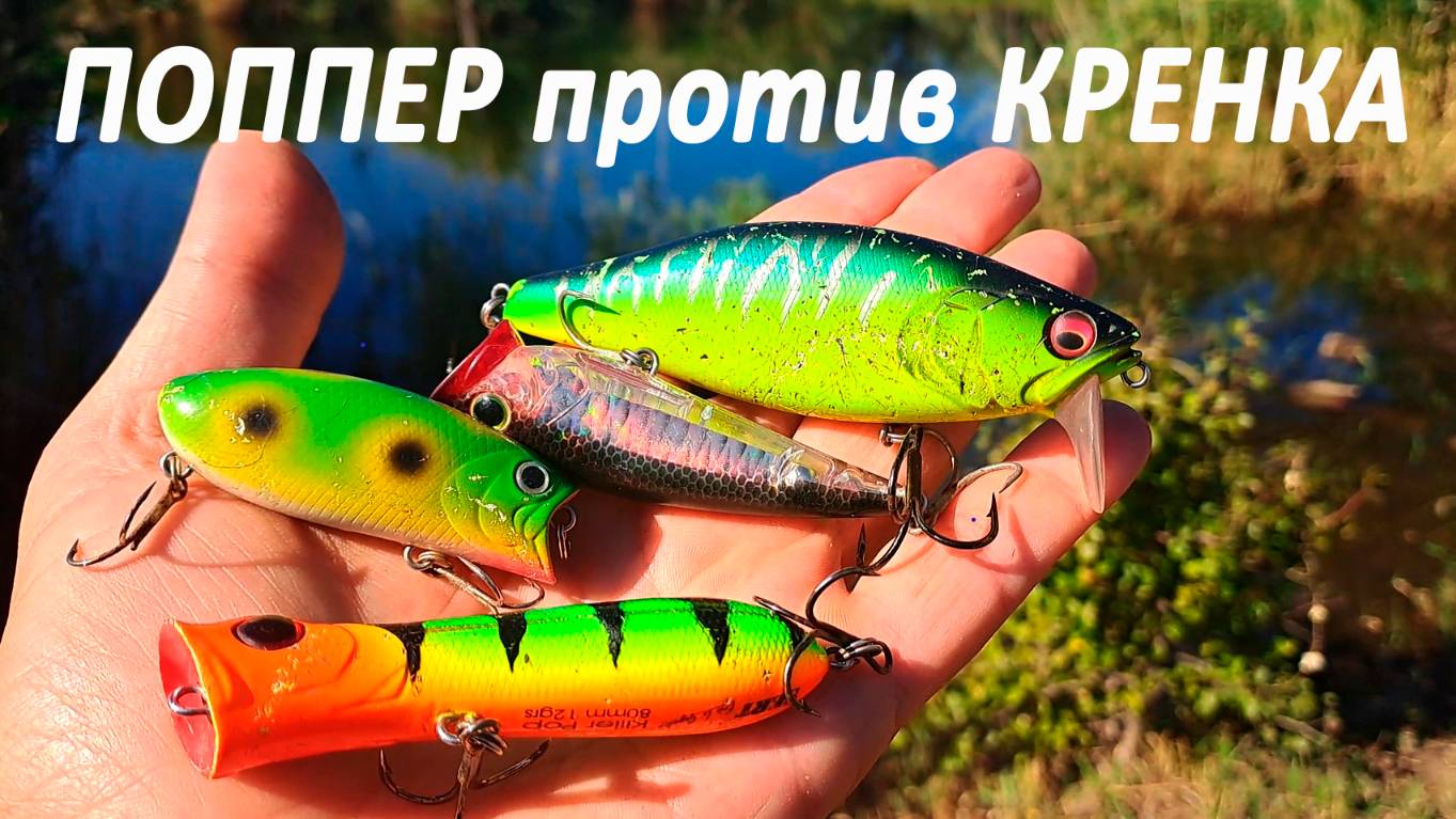 🔥 ПОППЕР или КРЕНК (часть 1)? Что выберет голодная ТРОФЕЙНАЯ ЩУКА? Битва легендарных воблеров! 🔥