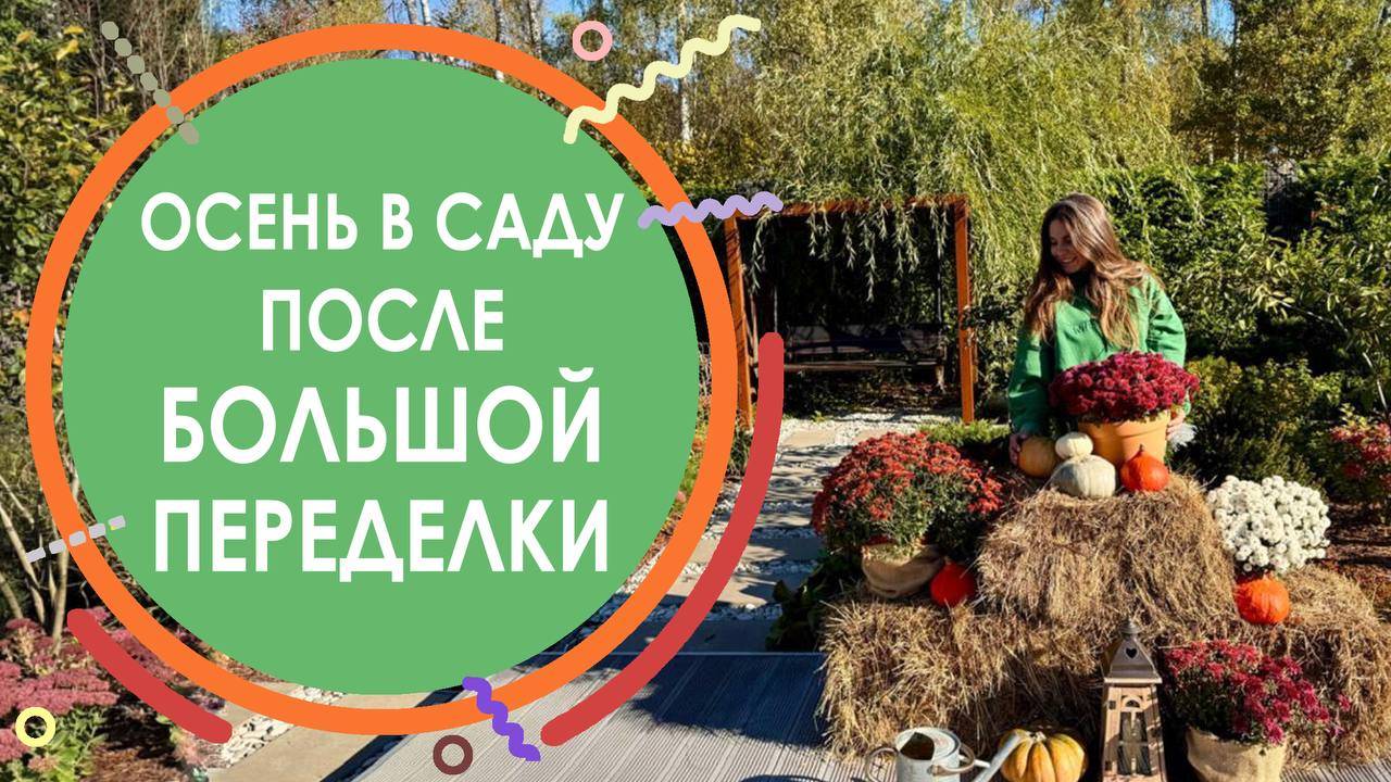 Осень в саду после большой переделки